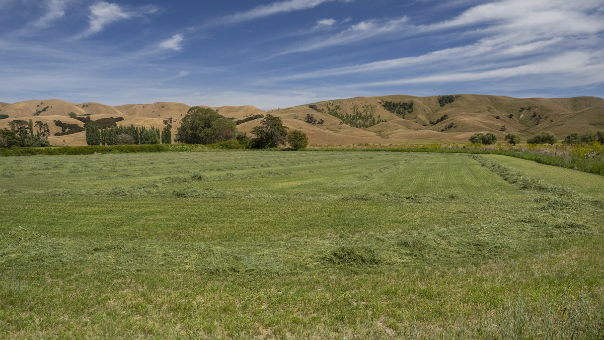 Centrally Located Cropping or Dairy Support Block