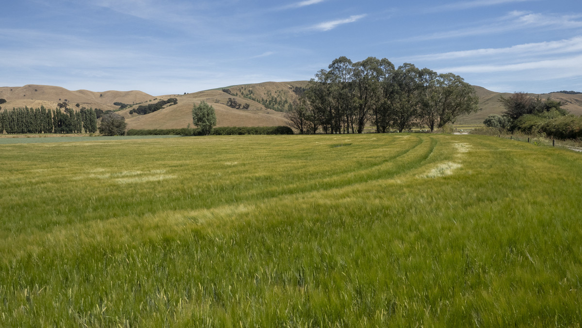 Centrally Located Cropping or Dairy Support Block