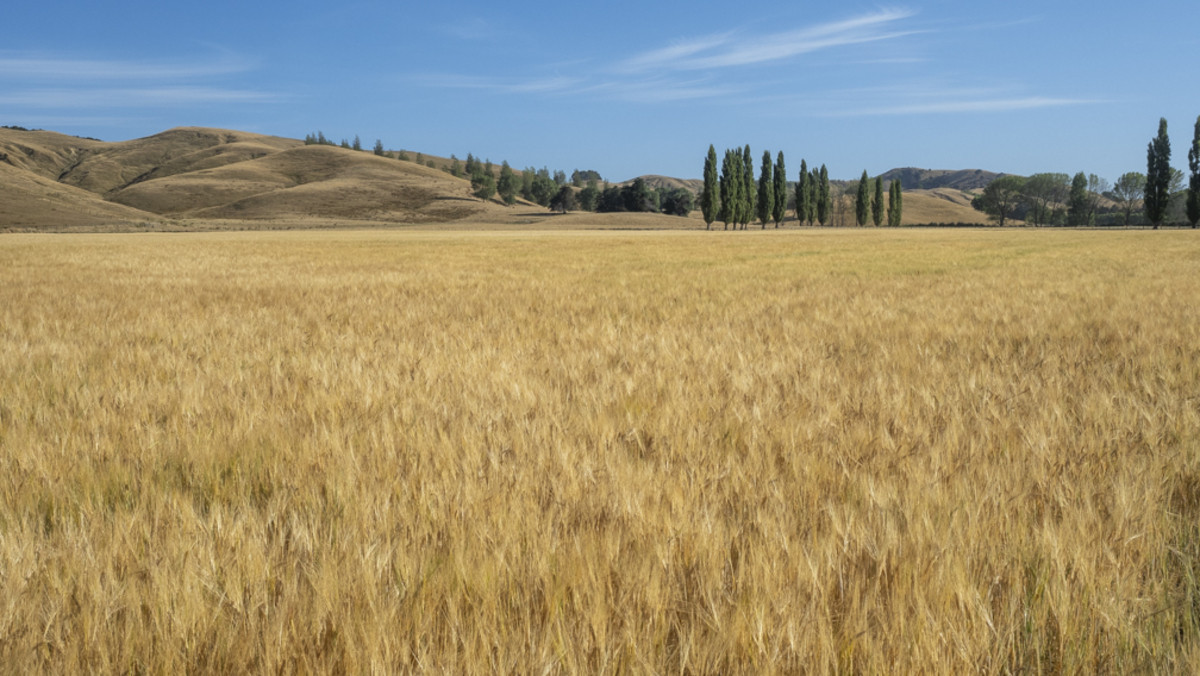 Centrally Located Cropping or Dairy Support Block