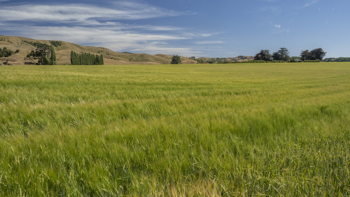 Centrally Located Cropping or Dairy Support Block
