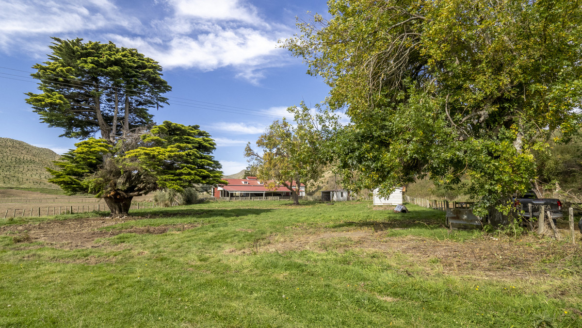 A Step on the Lifestyle Ladder – Value and Opportunity