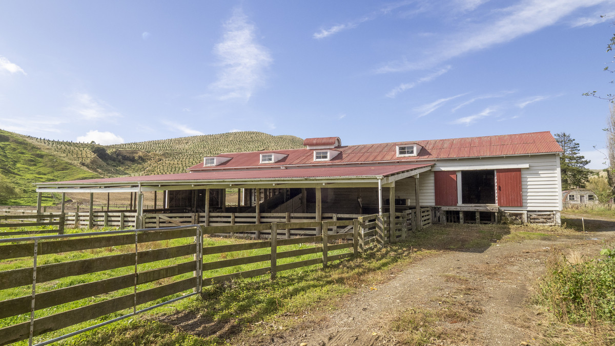 A Step on the Lifestyle Ladder – Value and Opportunity