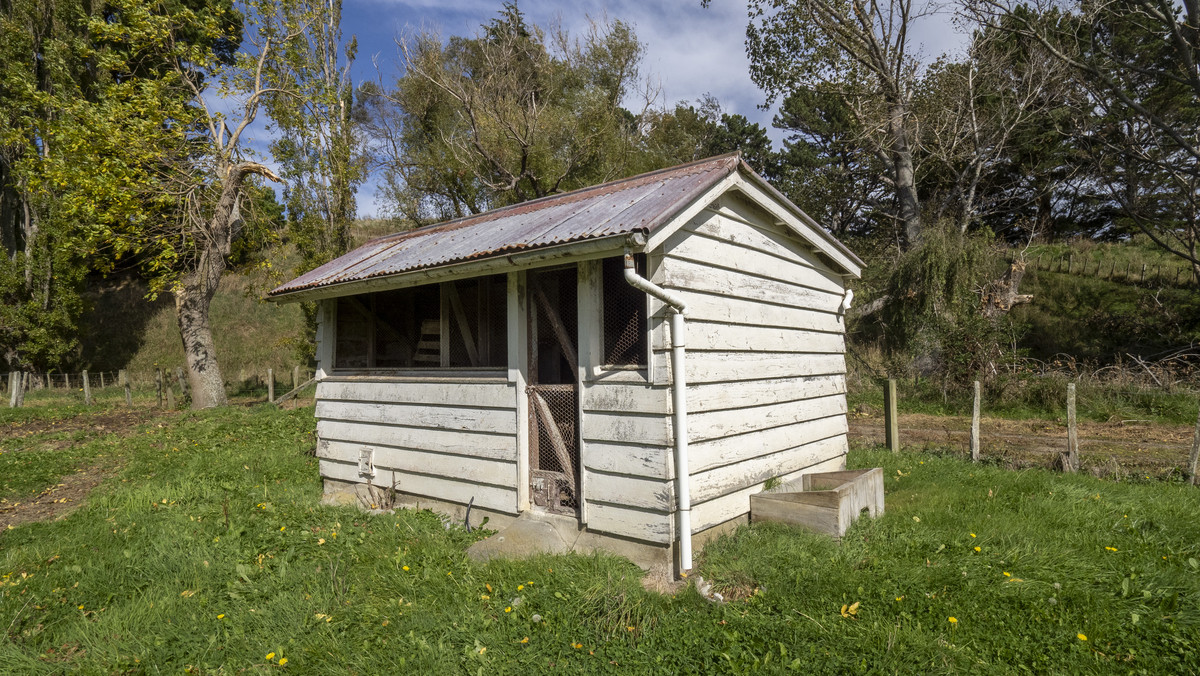 A Step on the Lifestyle Ladder – Value and Opportunity