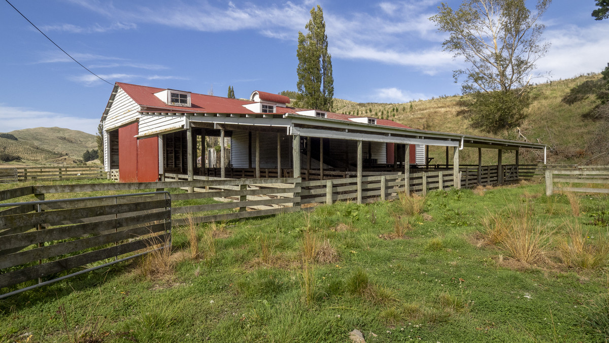 A Step on the Lifestyle Ladder – Value and Opportunity