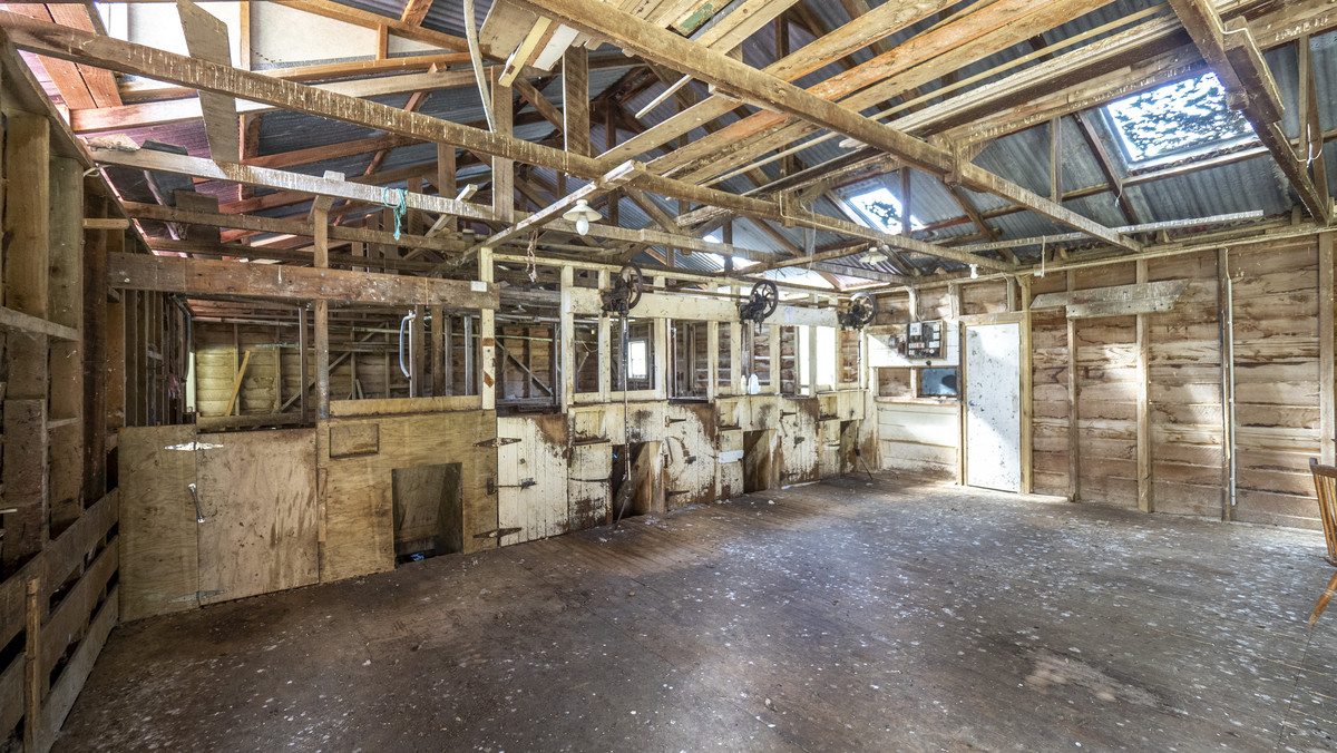 A Step on the Lifestyle Ladder – Value and Opportunity