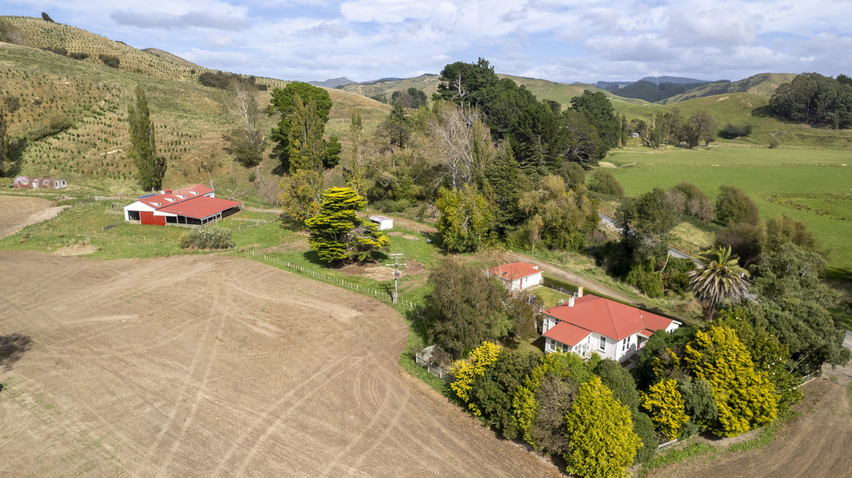 A Step on the Lifestyle Ladder – Value and Opportunity