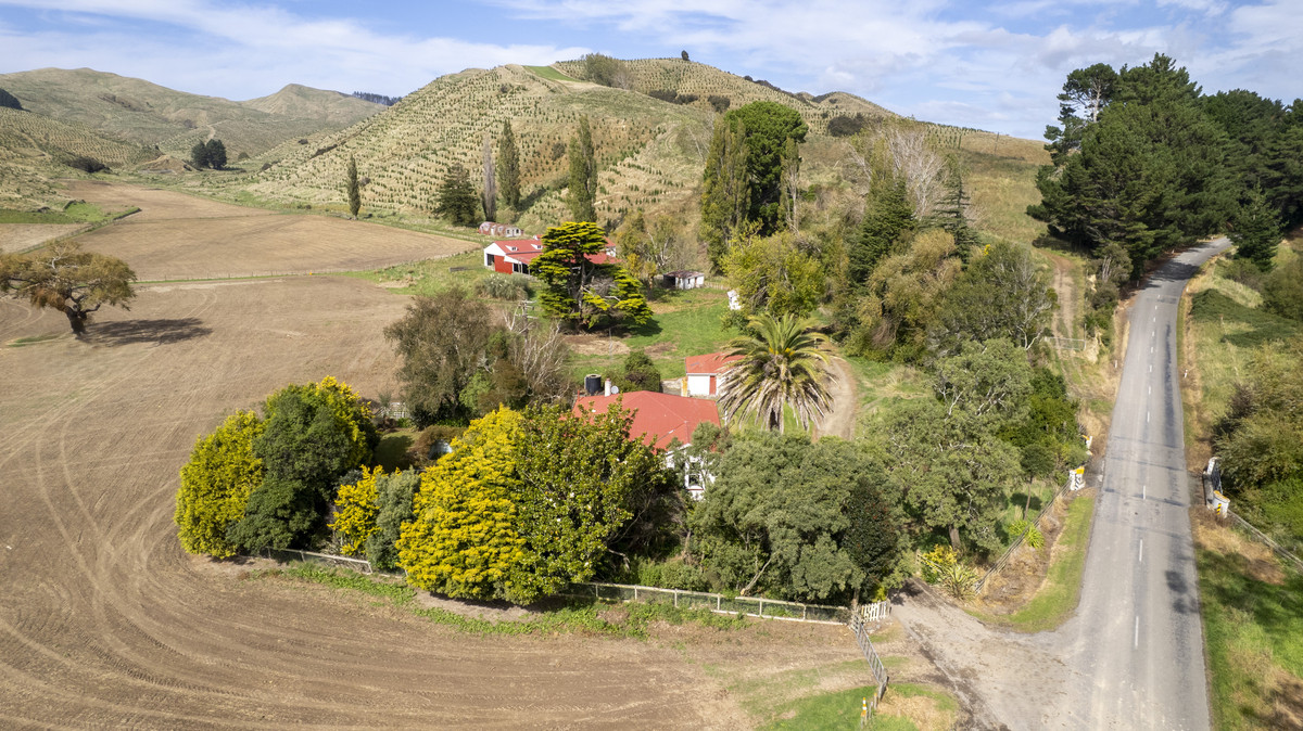 A Step on the Lifestyle Ladder – Value and Opportunity