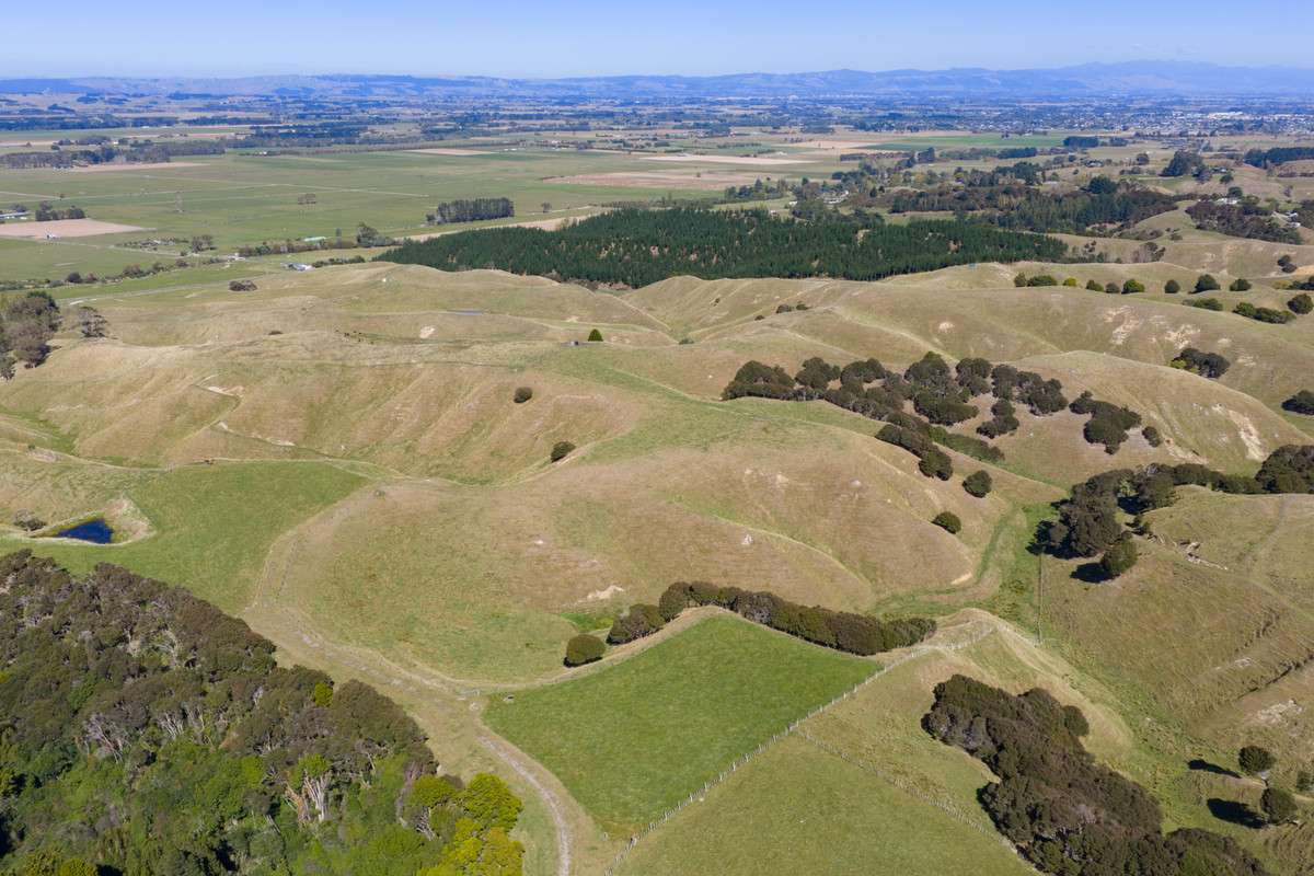 Private 10ha Only 10min From Town