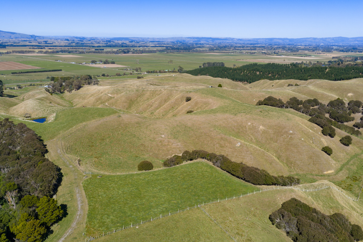 Private 10ha Only 10min From Town