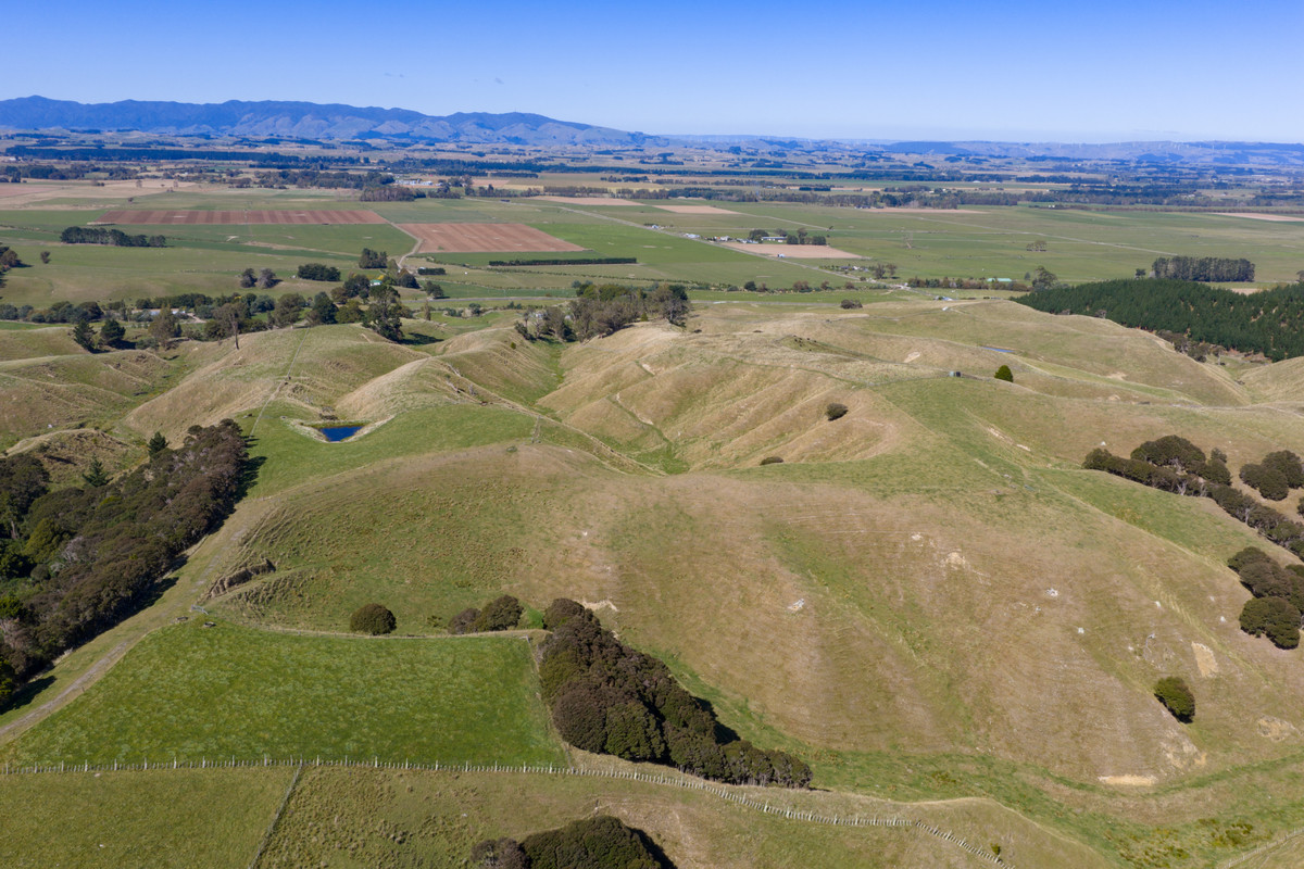 Private 10ha Only 10min From Town