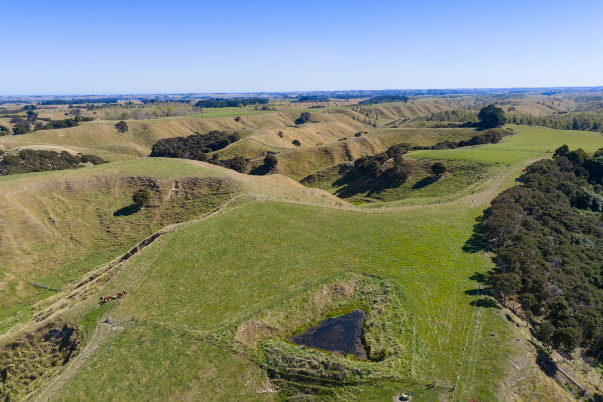 Private 10ha Only 10min From Town