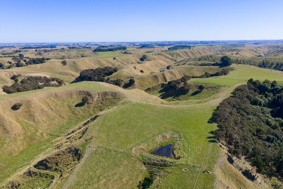 Private 10ha Only 10min From Town