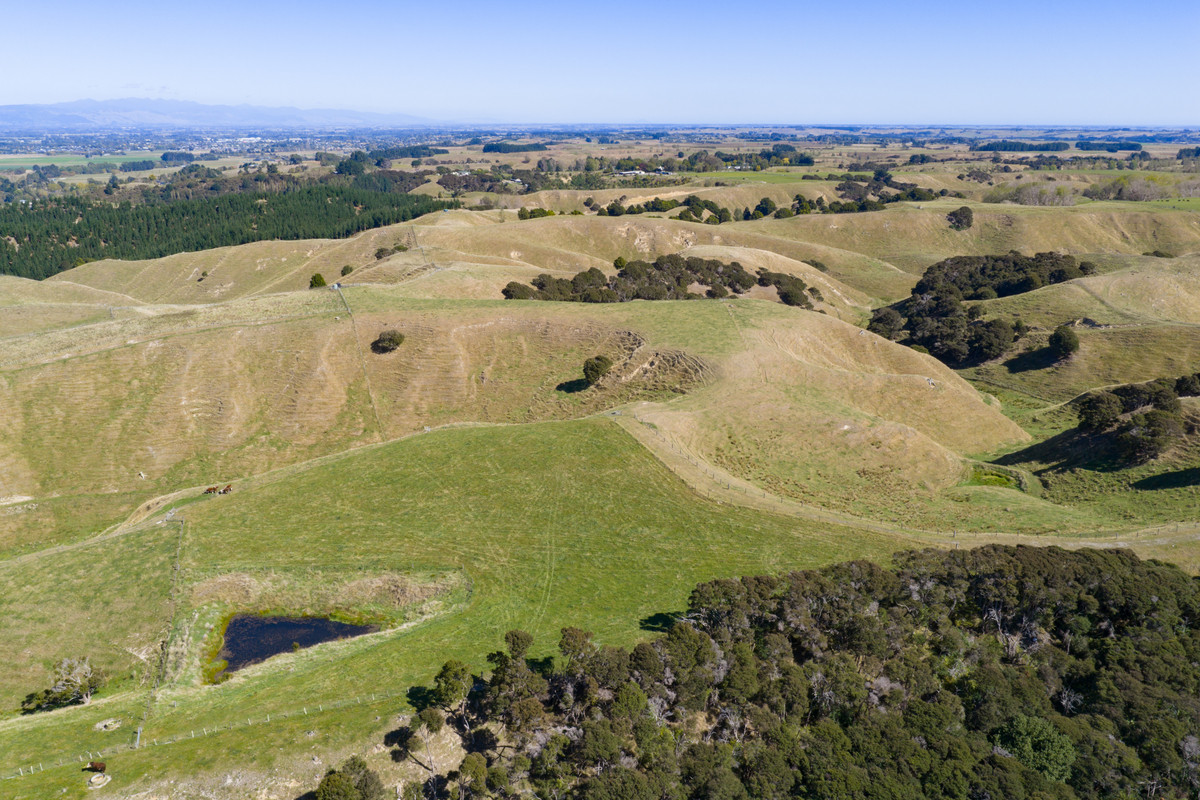 Private 10ha Only 10min From Town