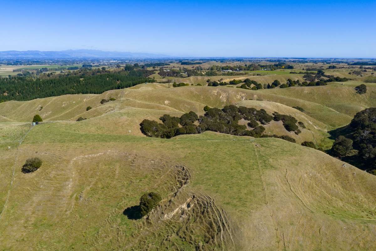 Private 10ha Only 10min From Town