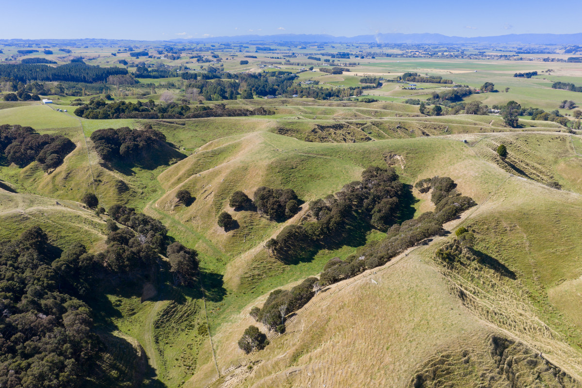 Private 10ha Only 10min From Town