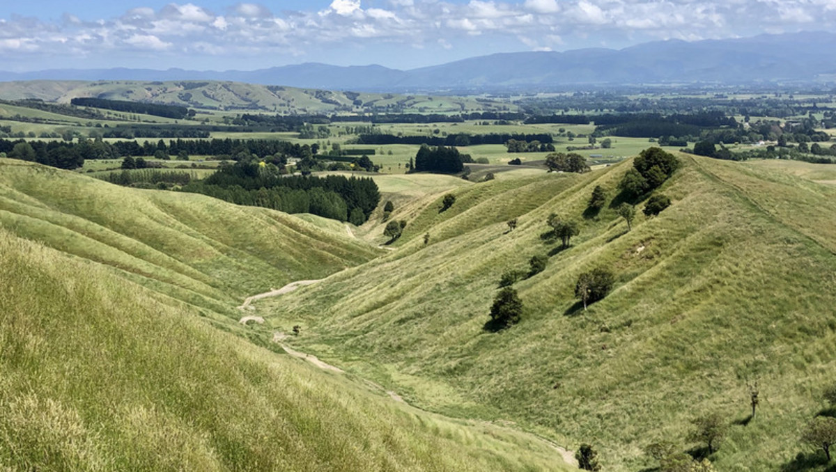 Location and Scope  - Good Clean Grazing Country