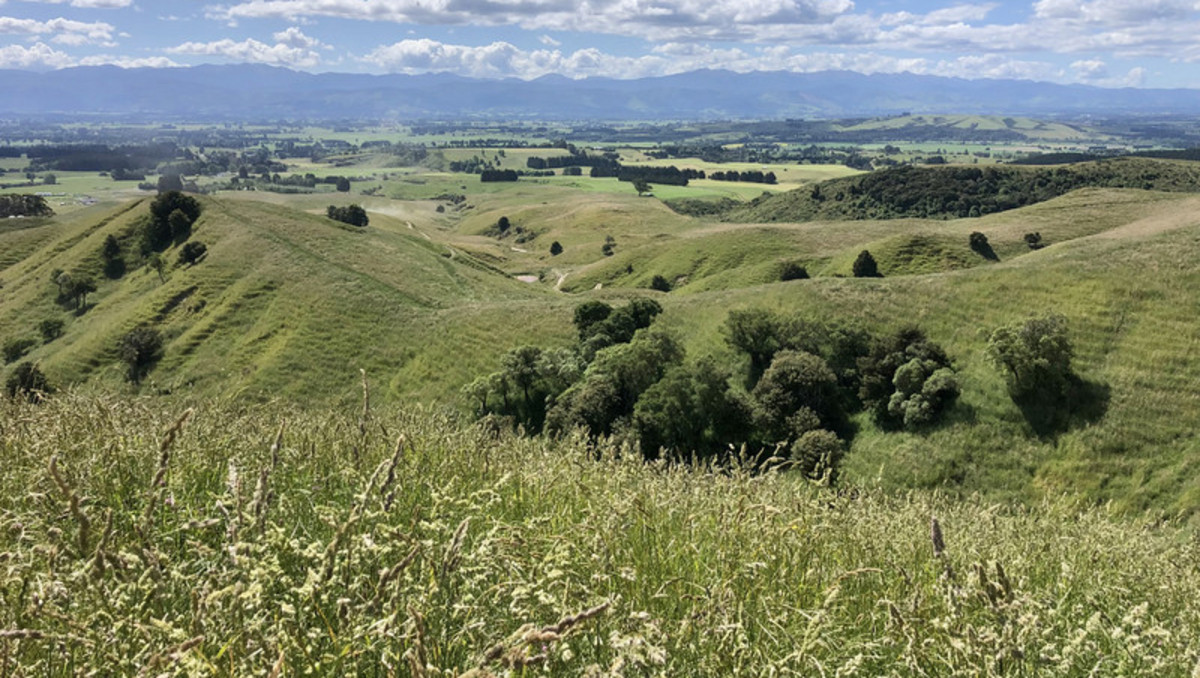 Location and Scope  - Good Clean Grazing Country