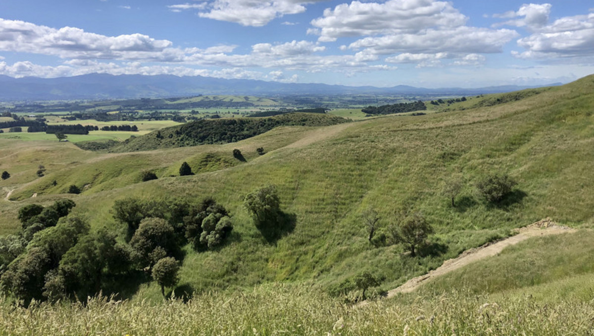 Location and Scope  - Good Clean Grazing Country