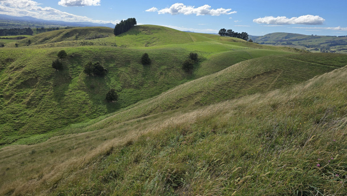 Location and Scope  - Good Clean Grazing Country