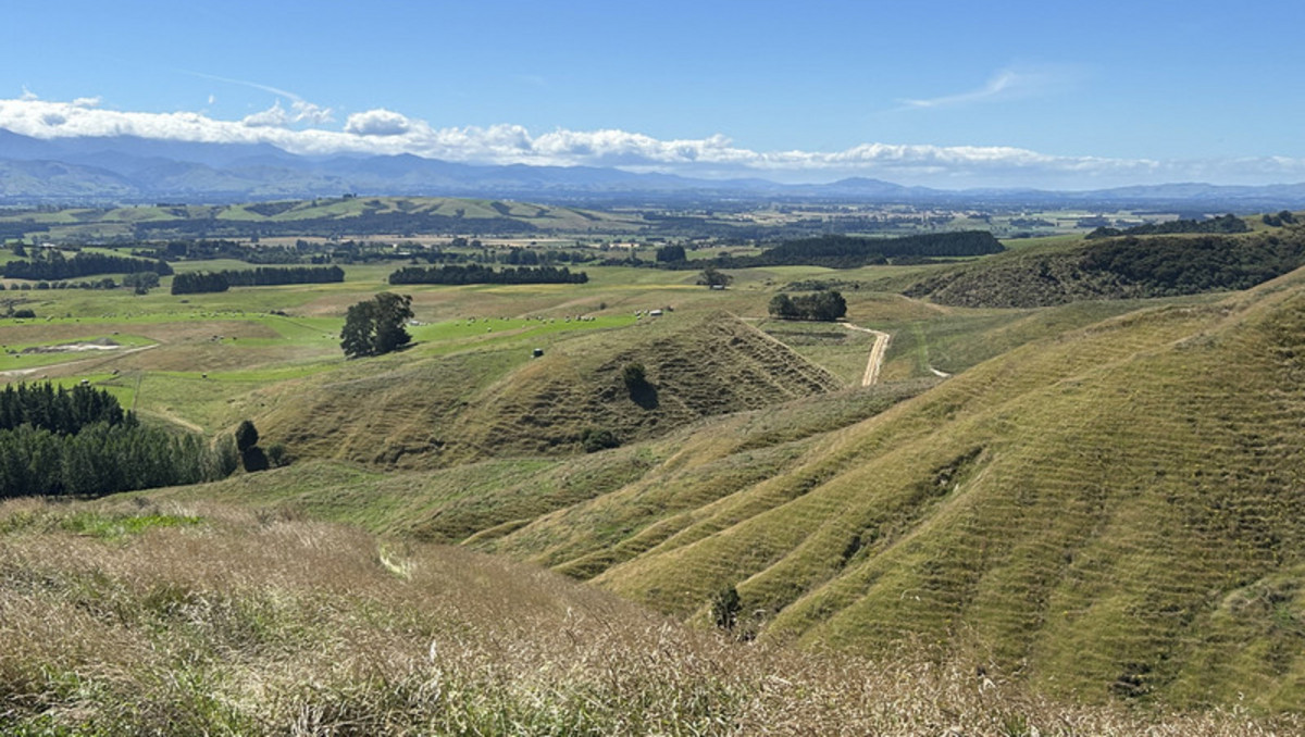 Location and Scope  - Good Clean Grazing Country
