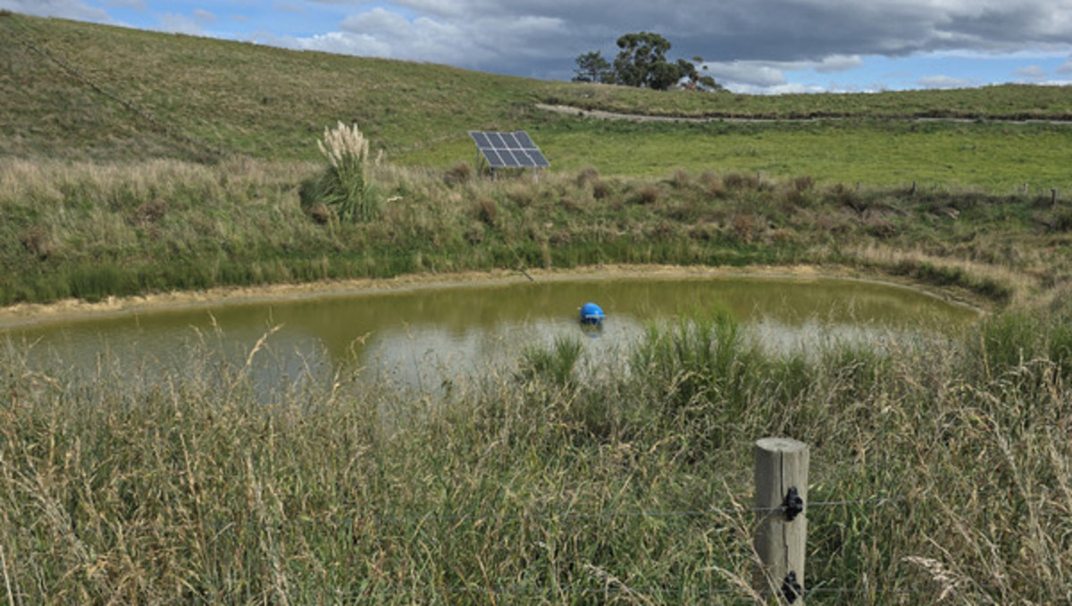 Location and Scope  - Good Clean Grazing Country