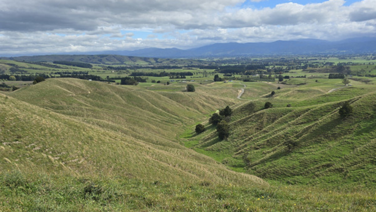 Location and Scope  - Good Clean Grazing Country
