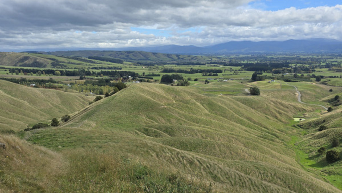 Location and Scope  - Good Clean Grazing Country