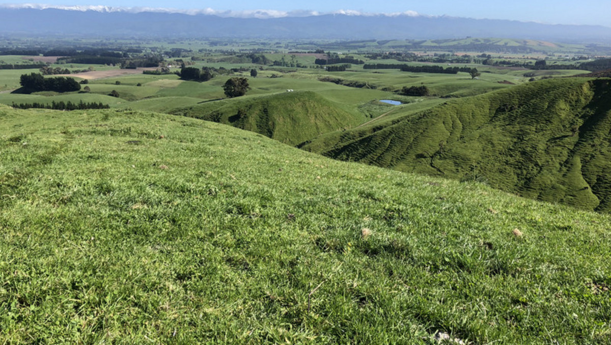 Location and Scope  - Good Clean Grazing Country