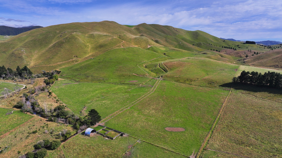 Proven Versatile Grazing Country