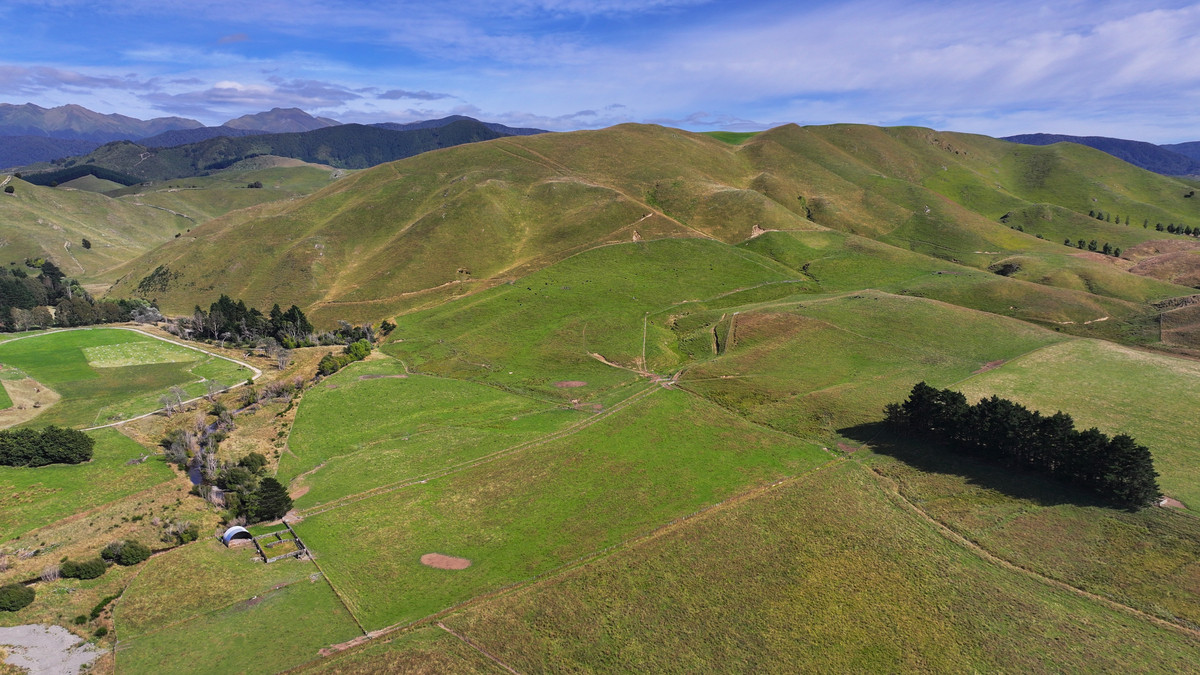 Proven Versatile Grazing Country