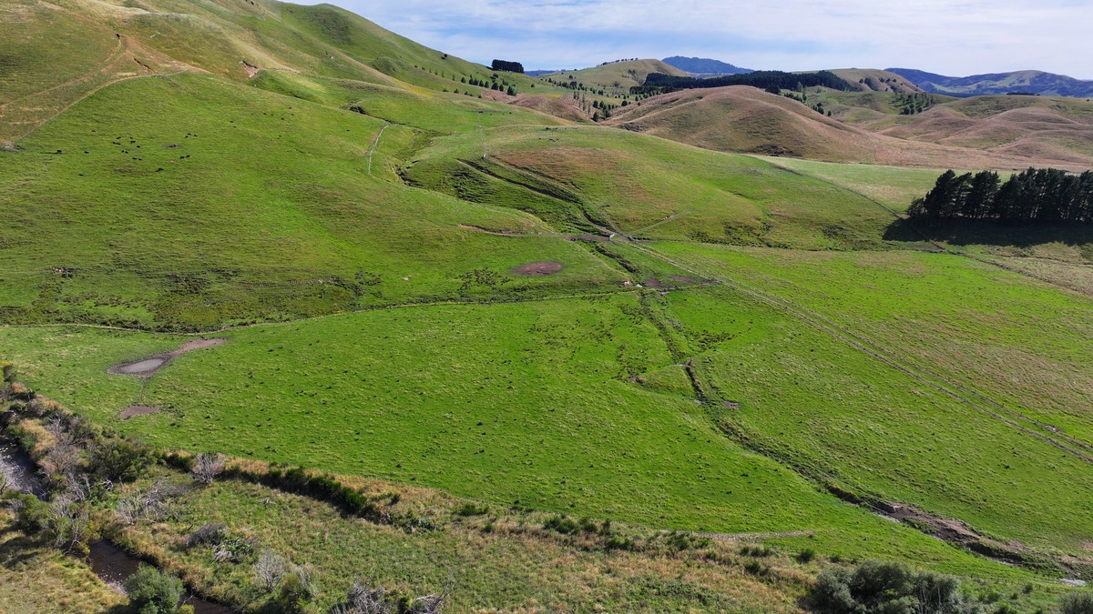 Proven Versatile Grazing Country