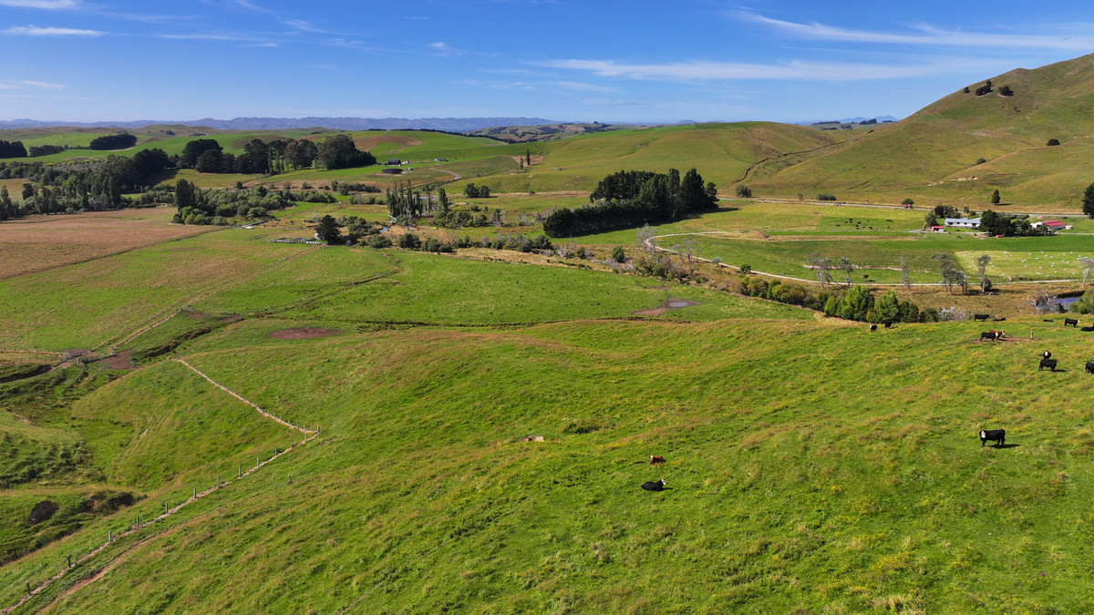 Proven Versatile Grazing Country