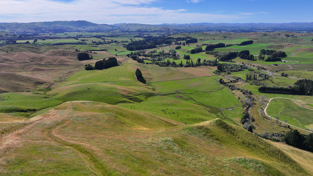 Proven Versatile Grazing Country