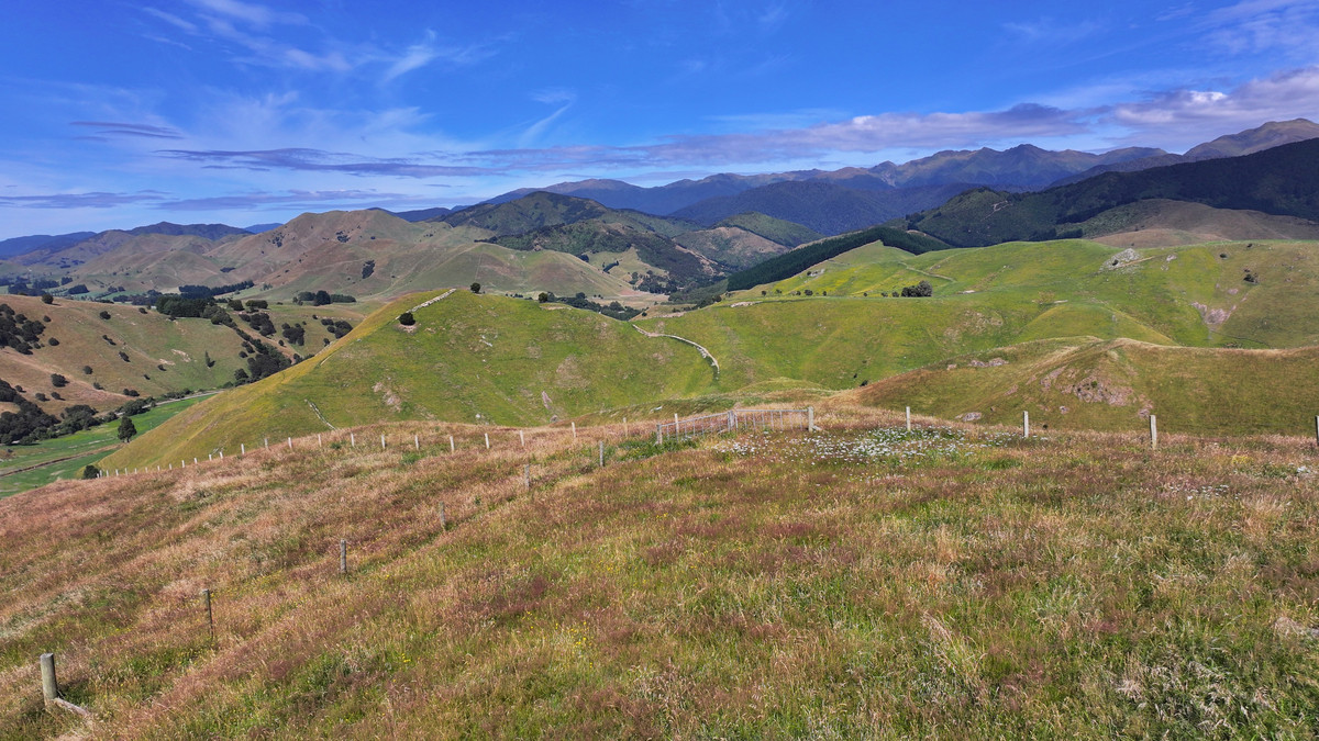 Proven Versatile Grazing Country