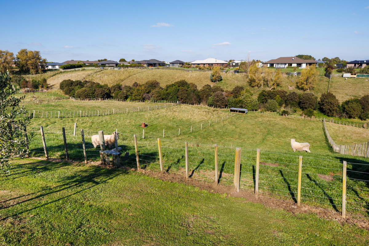 Combining Country & Town Living