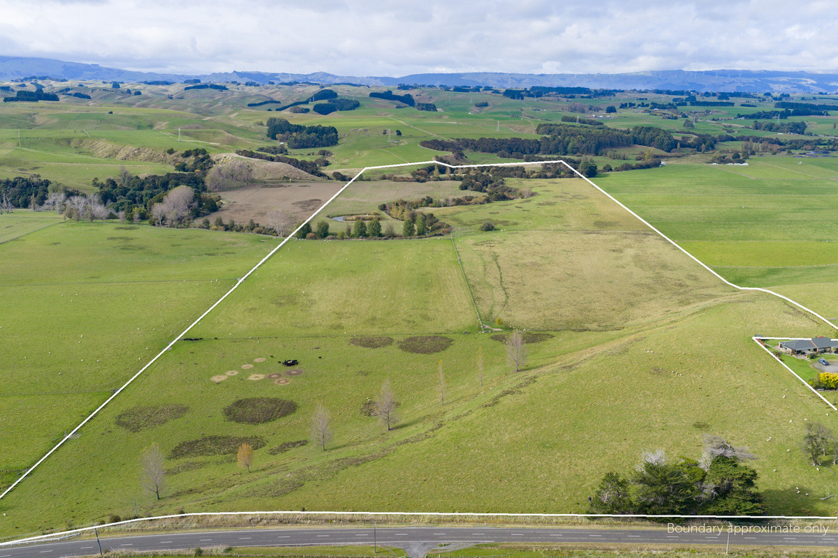 Your 36 Hectare Blank Canvas