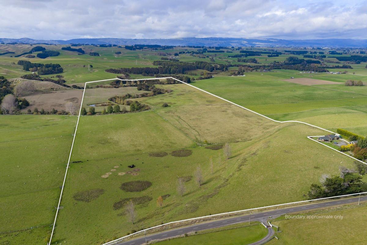 Your 36 Hectare Blank Canvas