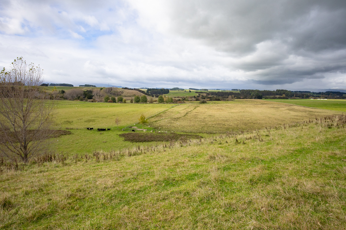 Your 36 Hectare Blank Canvas