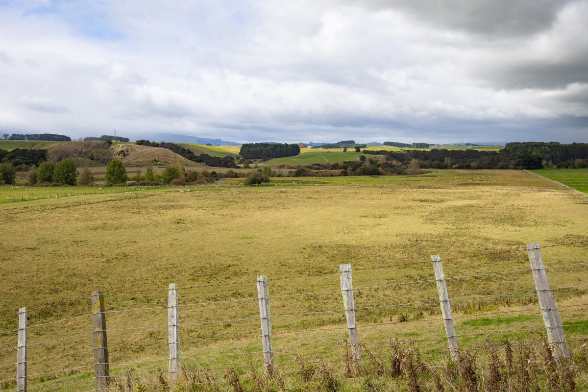 Your 36 Hectare Blank Canvas