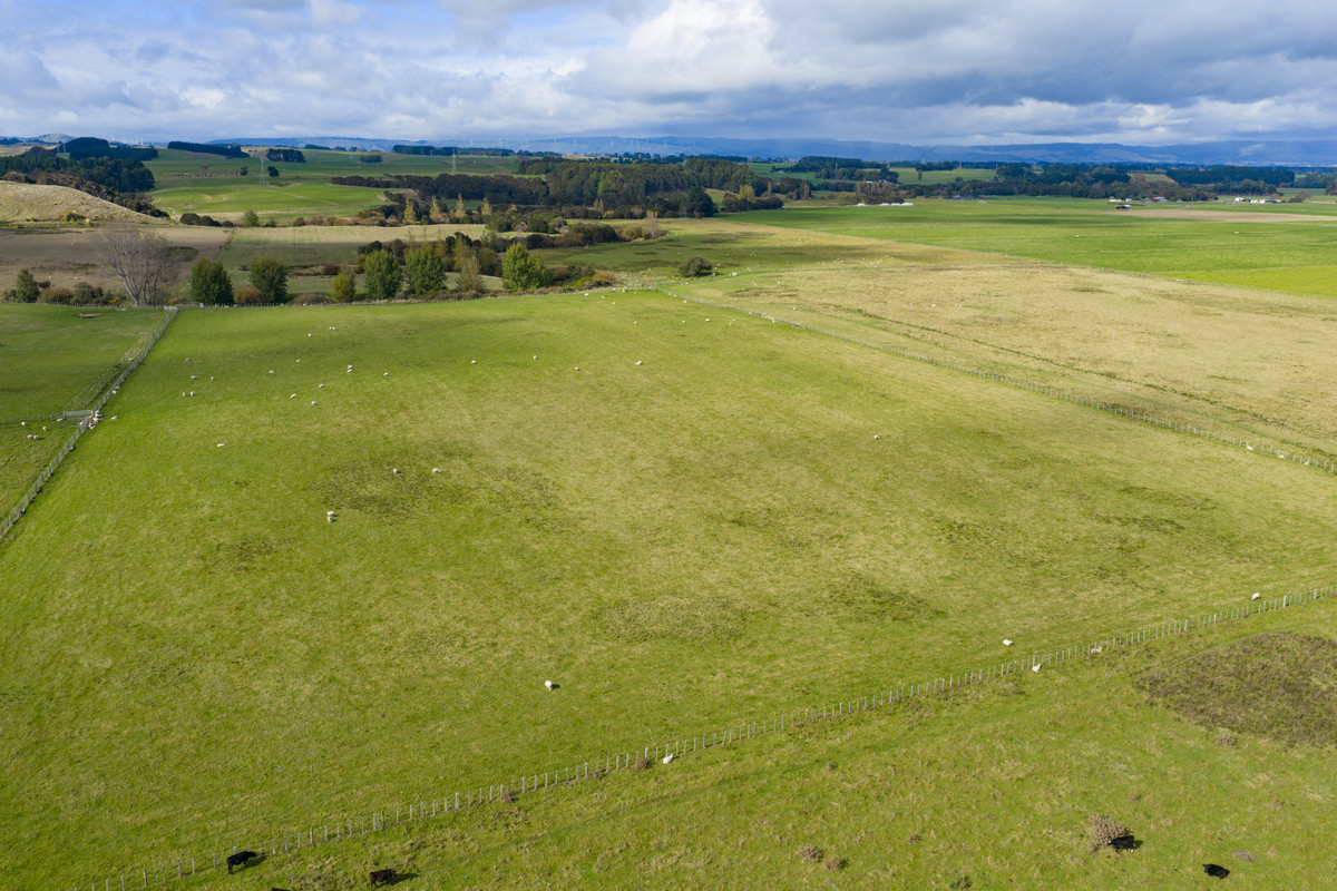Your 36 Hectare Blank Canvas