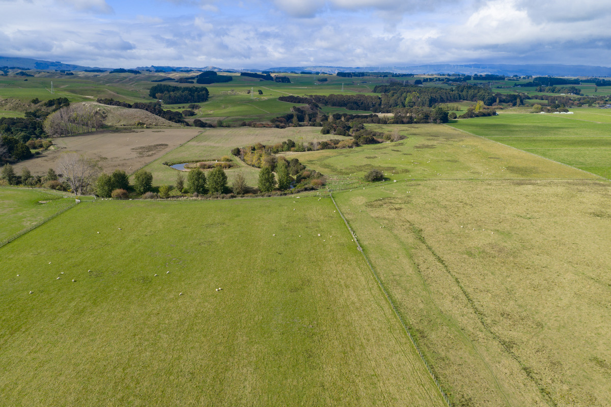 Your 36 Hectare Blank Canvas