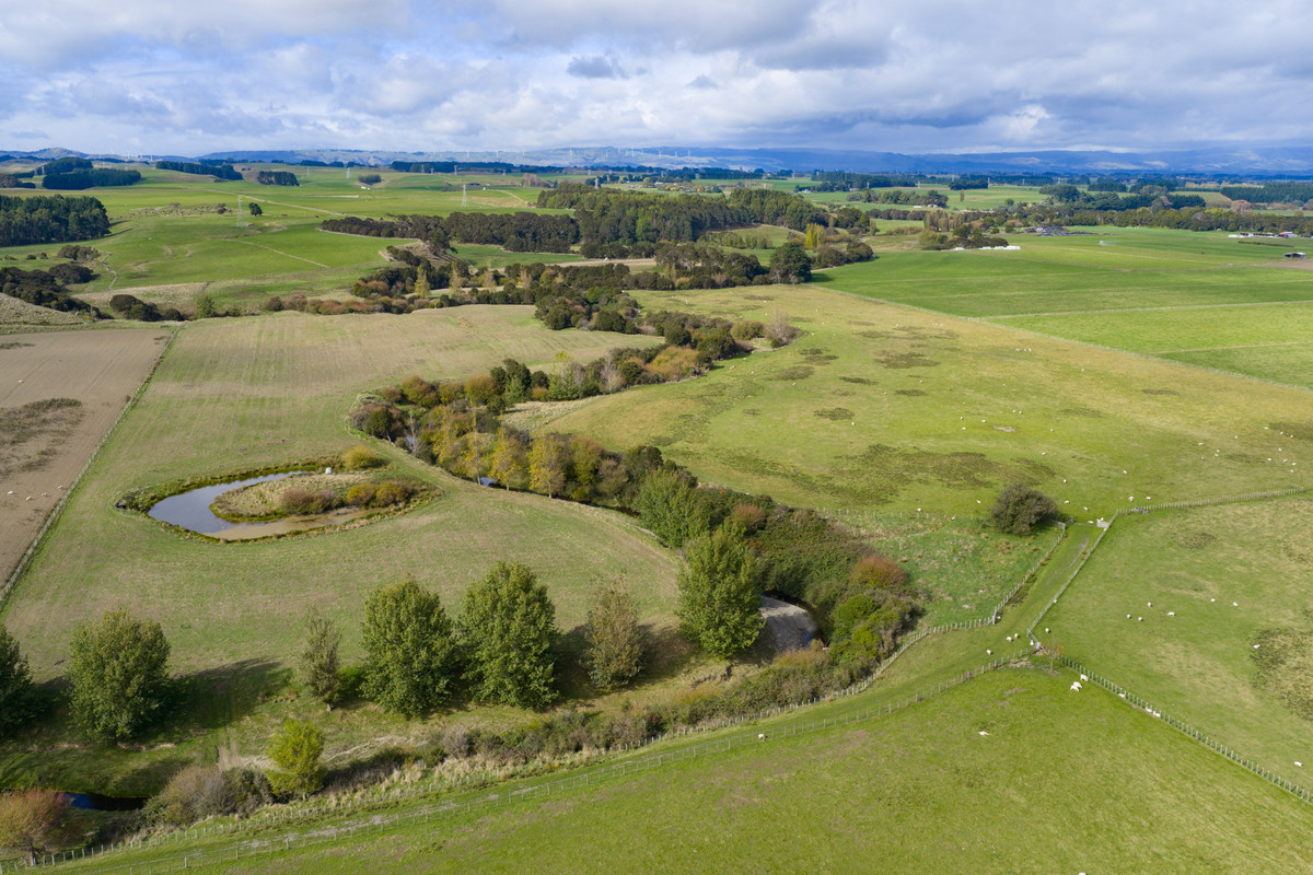 Your 36 Hectare Blank Canvas