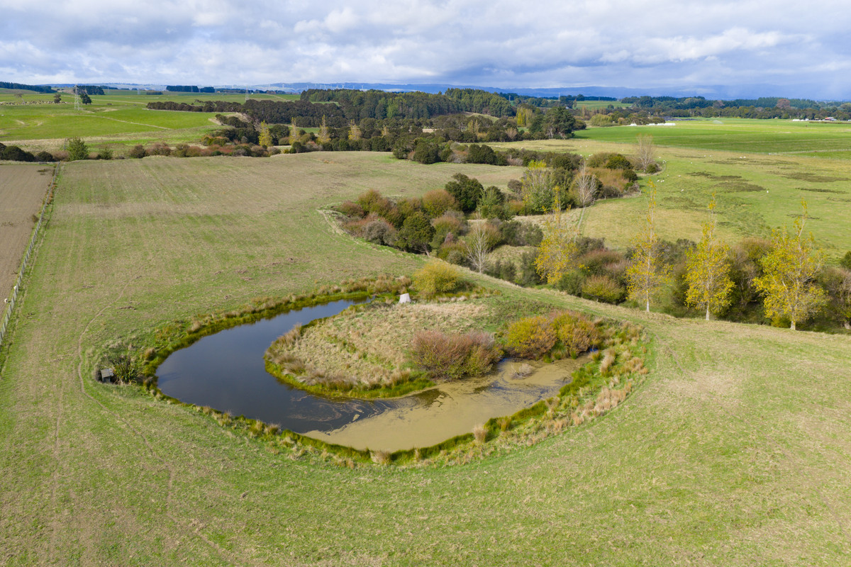 Your 36 Hectare Blank Canvas