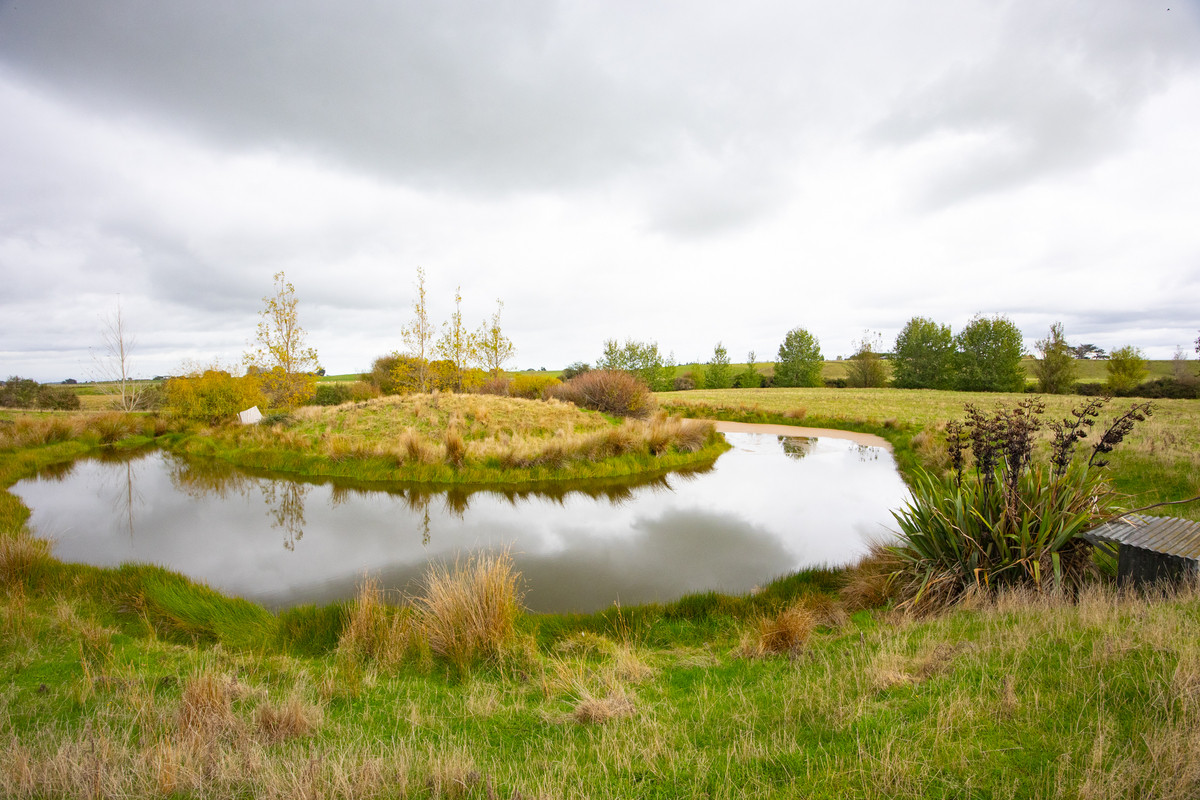 Your 36 Hectare Blank Canvas