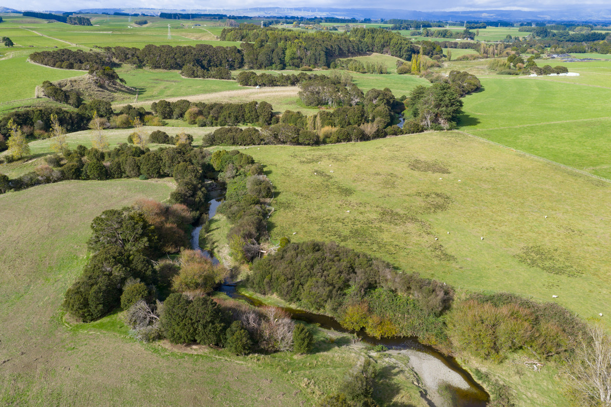 Your 36 Hectare Blank Canvas