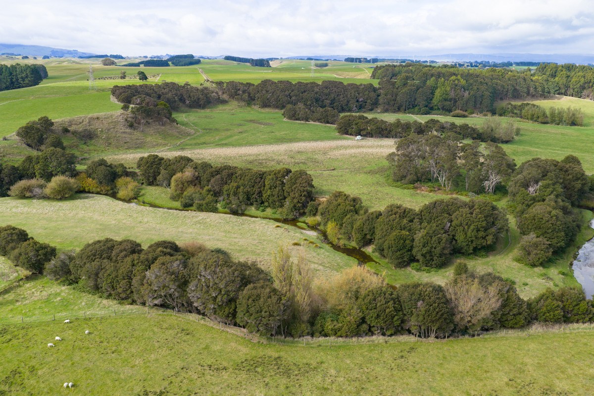 Your 36 Hectare Blank Canvas
