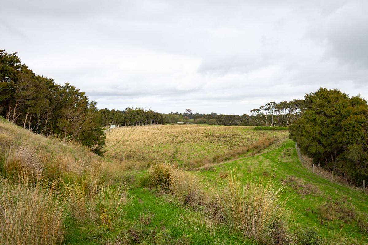 Your 36 Hectare Blank Canvas