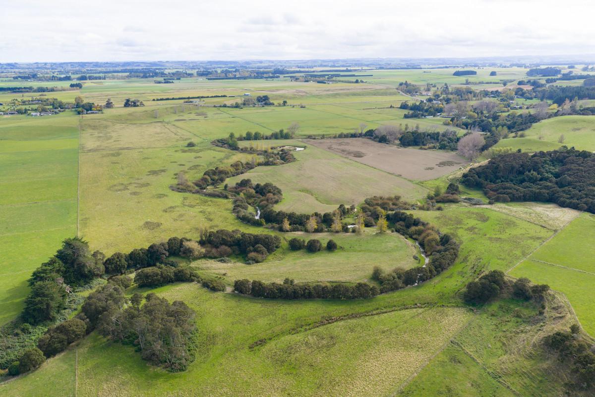Your 36 Hectare Blank Canvas