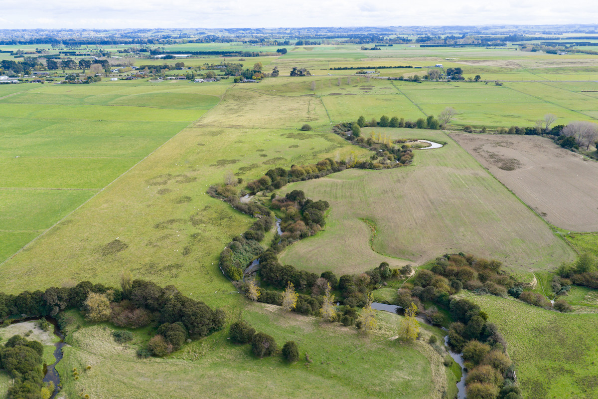 Your 36 Hectare Blank Canvas
