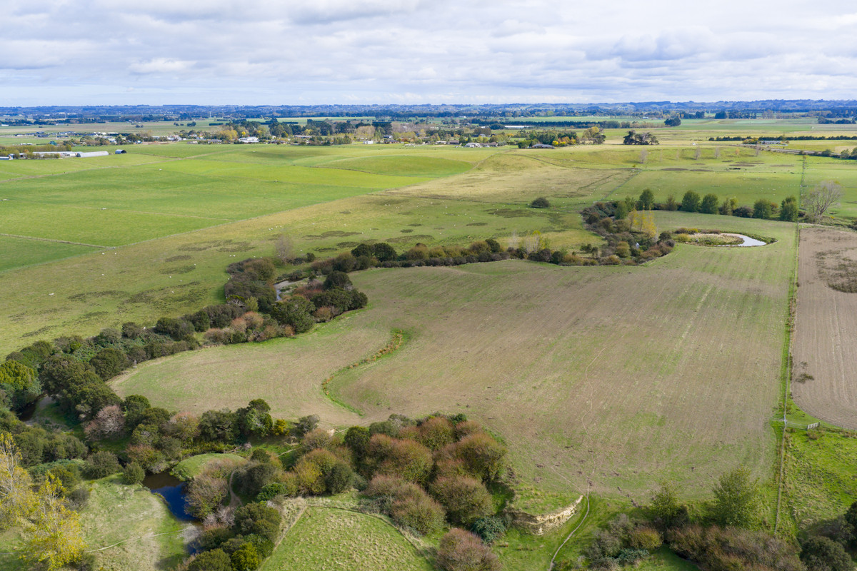Your 36 Hectare Blank Canvas